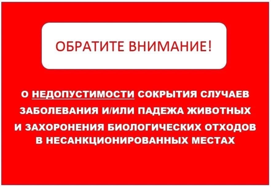 Памятка о недопустимости захоронения биологических отходов в несанкционированных местах.
