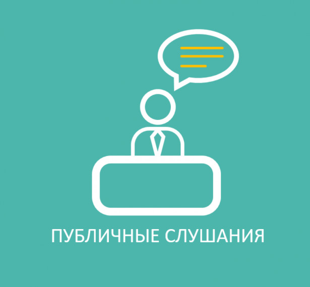 О проведении публичных слушаний. О проведении публичных слушаний.